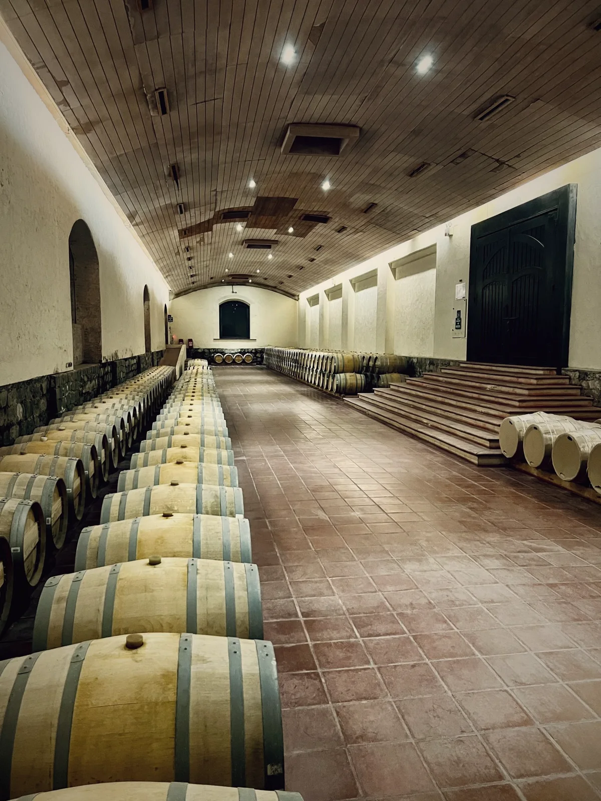 Rows of oak barrels in a cellar